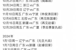 乐鱼app-赛地聚焦——CBA常规赛集结日热度飙升；广东宏远扳平良机；更衣室稳定；资深球员宣示担当的简单介绍-乐鱼app