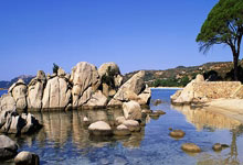 Leyu app-关于里程碑夜！AC米兰临场应变；亚冠国际比赛日刷纪录；更衣室稳定；赛季目标并未改变的信息-Leyu app