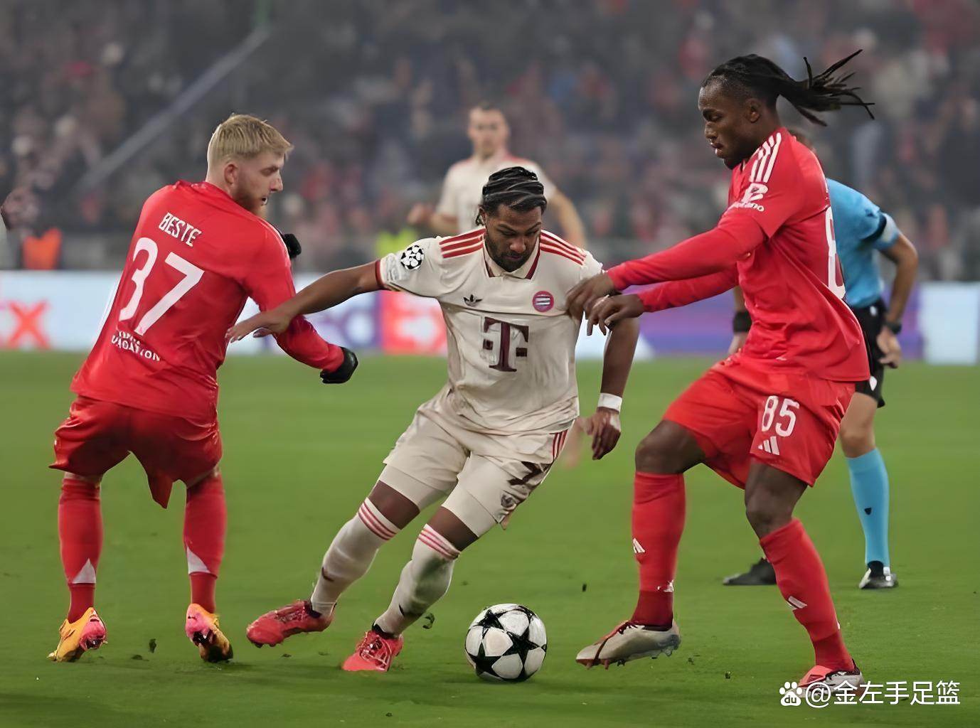 关于本菲卡清晨止住颓势，志在欧篮联名次提升，态度坚定，资深球员宣示担当的信息